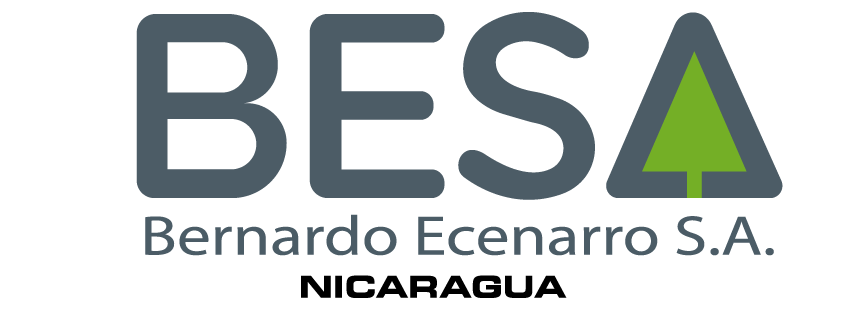 BESA